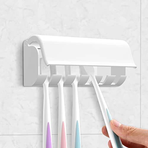 Wallmount Toothbrush Holder with Cover