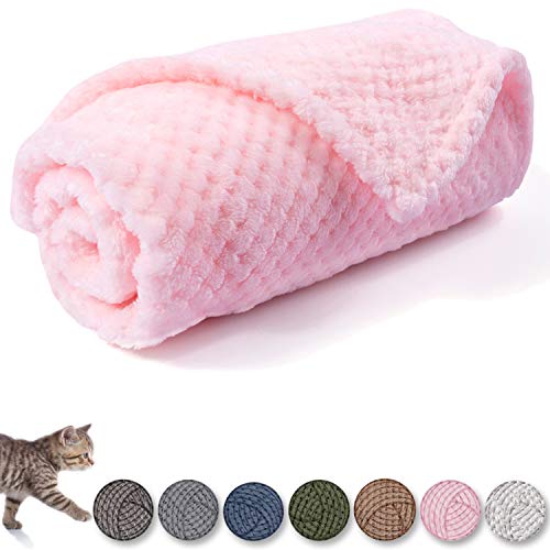 Warm and Fuzzy Pet Blanket for Dogs and Cats