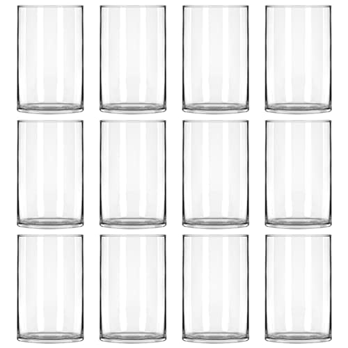 Waymind Clear Glass Cylinder Vases