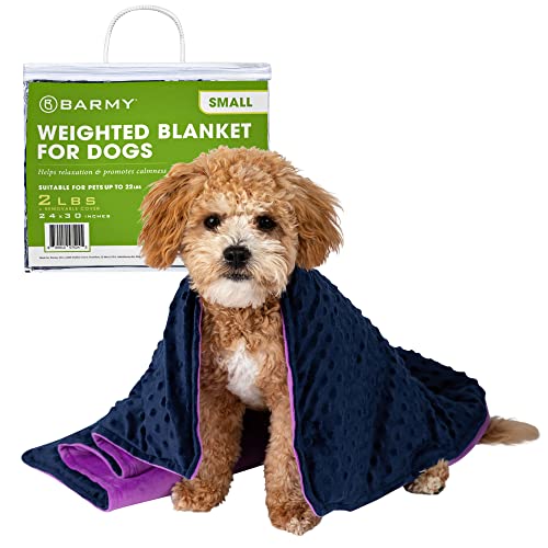 Weighted Blanket for Dogs - Calming Aid for Anxiety & Weather