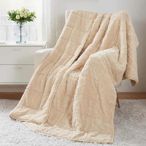 Weighted Blanket Queen Size 15lbs, Classy Soft Jacquard Sherpa Weighted Blankets for Sleep Natural and Calming, Fluffy Cozy Sofa Bed Blanket for Winter, Beige, 60 x 80 inches