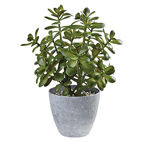 Westcharm Faux Jade Plant Home Décor