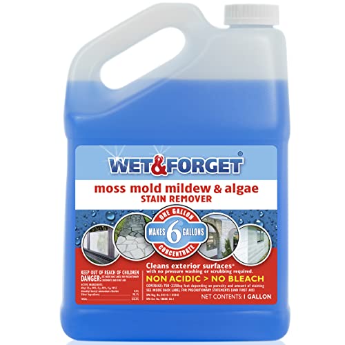 Wet & Forget Stain Remover Multi-Surface Outdoor Cleaner