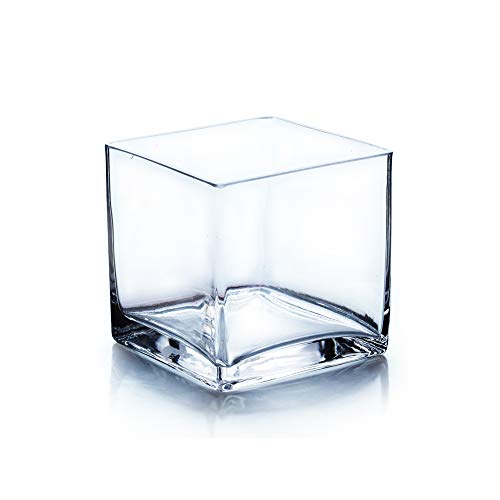 WGV Cube Glass Vase, Candle Holder, 5"x5"x5", Clear Elegant Floral Accent Container Planter Terrarium Wedding Party Ceremony Home Decor, 1 Piece