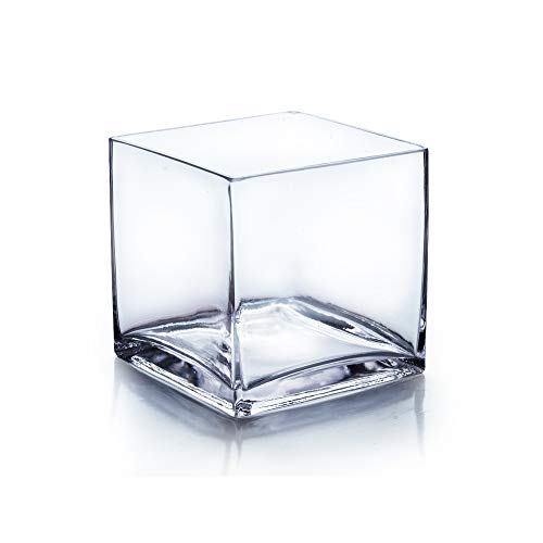 WGV Cube Glass Vase, Candle Holder, Clear Elegant Floral Accent Container Planter