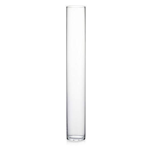 WGV Cylinder Glass Vase: Elegant, Versatile, and Stylish