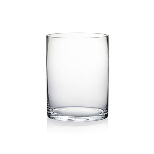 WGV Cylinder Vase, Clear Glass Container Terrarium Candle Holder