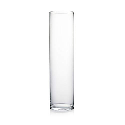WGV Cylinder Vase - Clear Glass Floral Planter Container