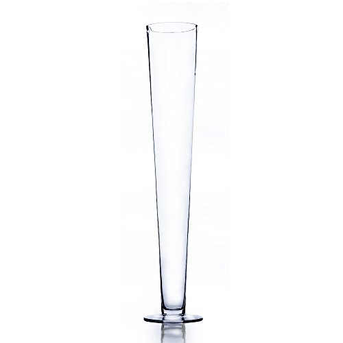 WGV Trumpet Glass Vase