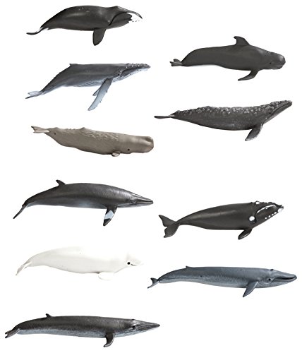 Whale TOOB Figurine Set