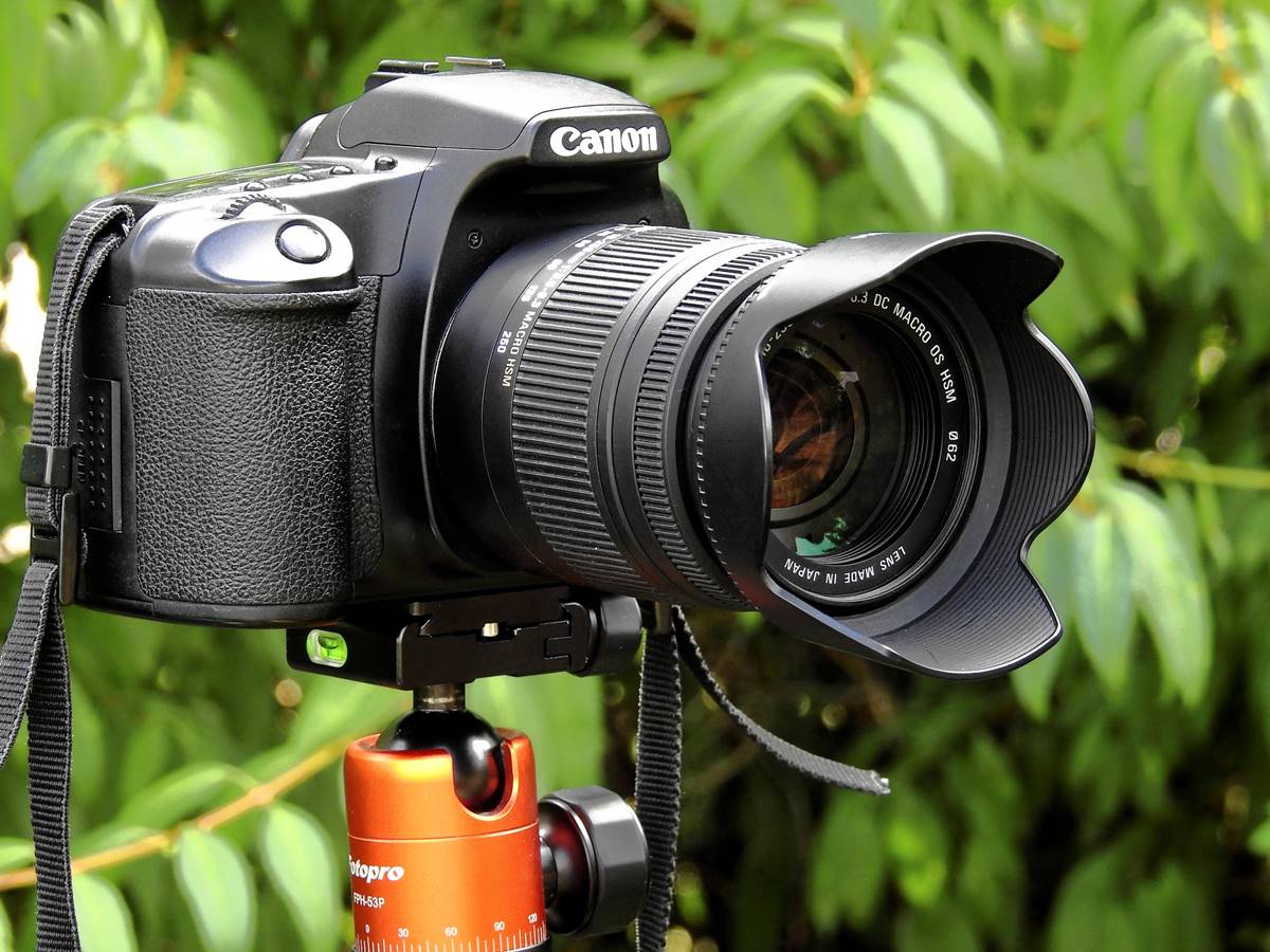 What Is A Digital SLR Camera
