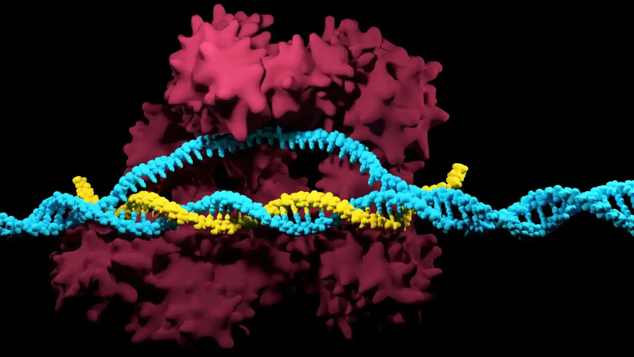 What Is CRISPR Technology