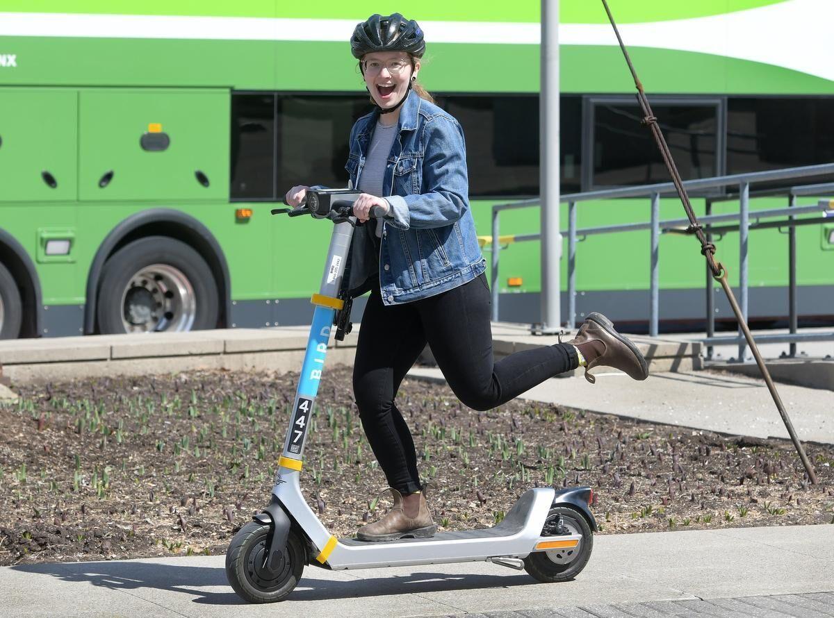 What Is The Law On Electric Scooter