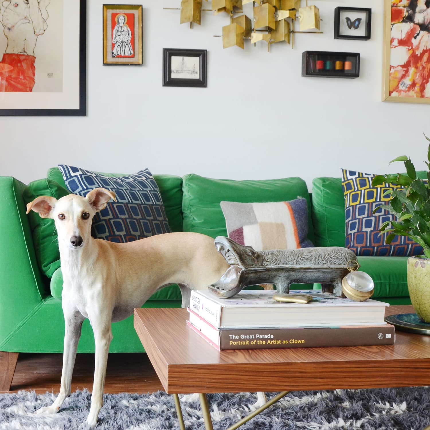 What Sofa Fabric Is Best For Dogs