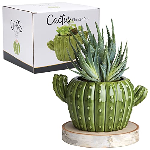 Whimsical Cactus Shaped Ceramic Flower Planter Pot