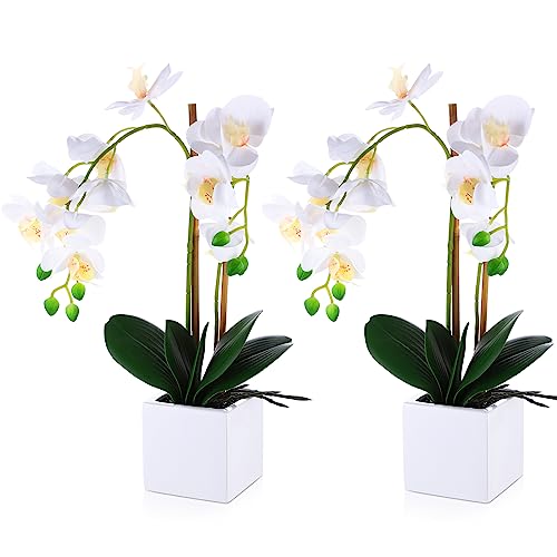 White Artificial Orchid Flowers with Vase