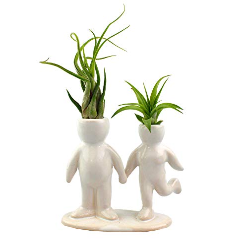 White Ceramic Couple Holding Hands Planter with Air Plants