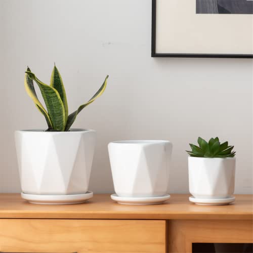 White Ceramic Plant Pots - Indoor Flower Planter Set