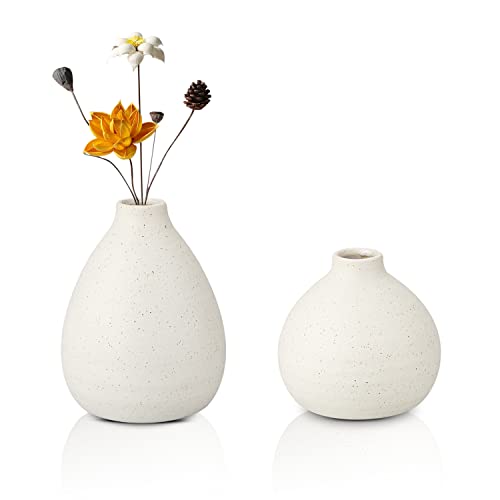 White Ceramic Vases Set of 2