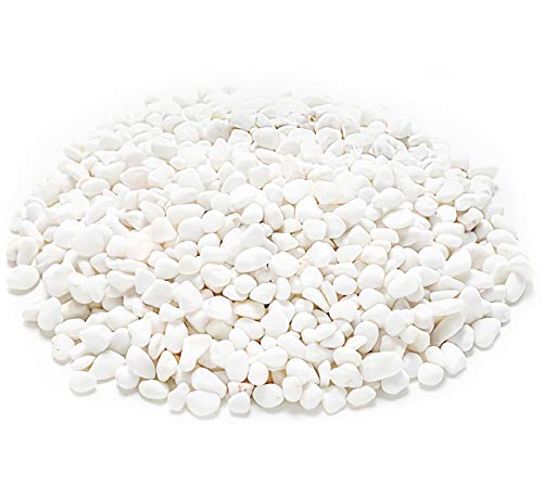 White Decorative Bean Pebbles