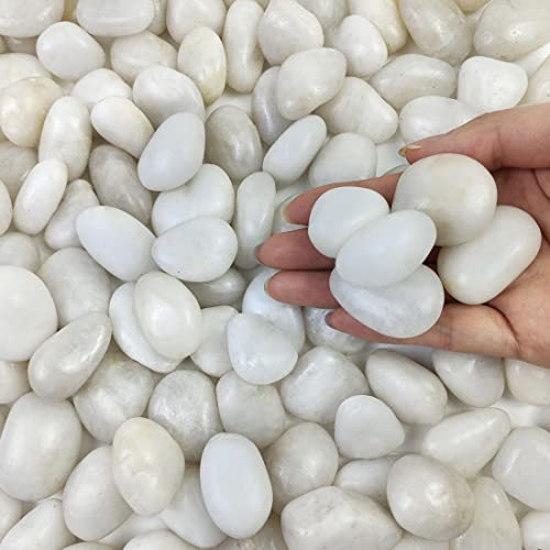 White Pebbles for Plants