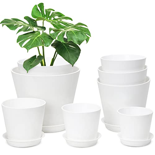Whonline 8-Pack Plastic Plant Pots with Drainage Holes