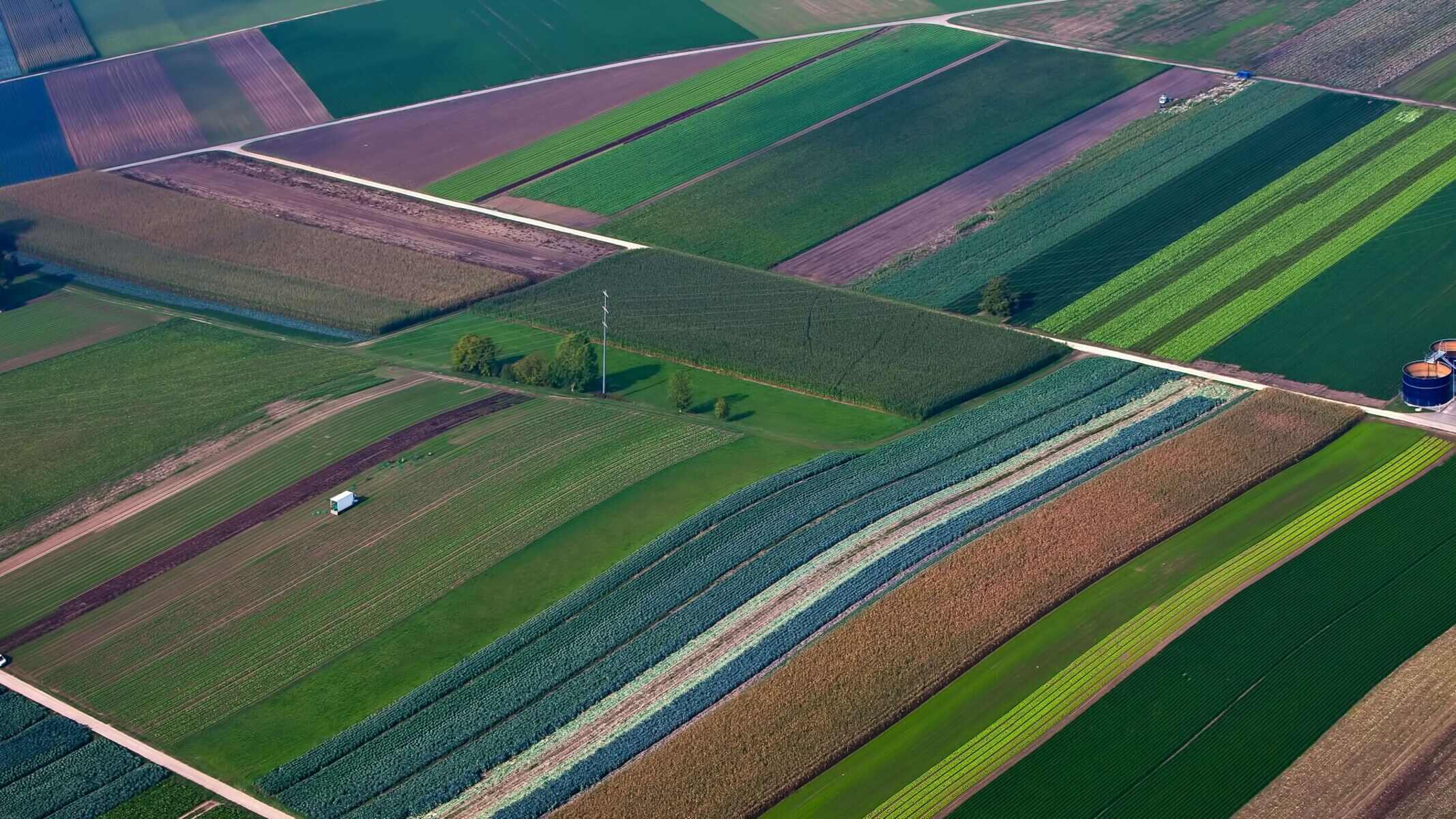 Why Is Dutch Agriculture Critically Dependent Upon Technology?