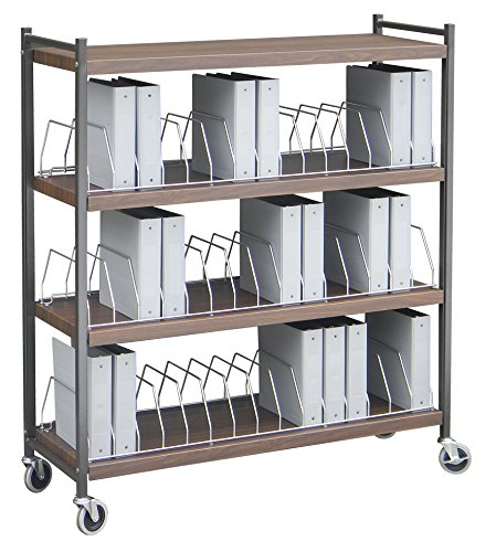 Wide Chart Rack with 4 Shelves