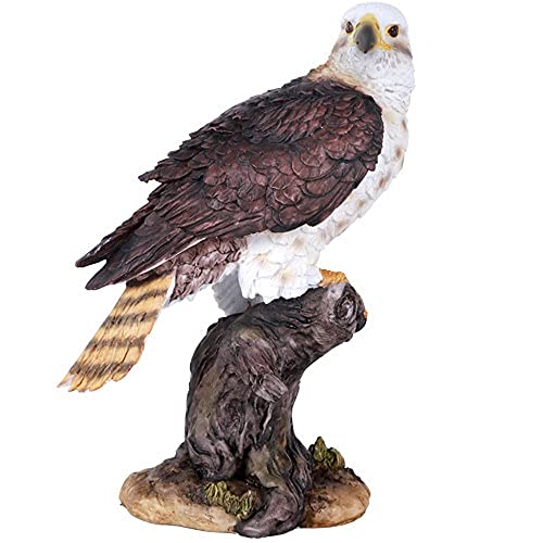 Wildlife Red Tailed Hawk Eagle Statue
