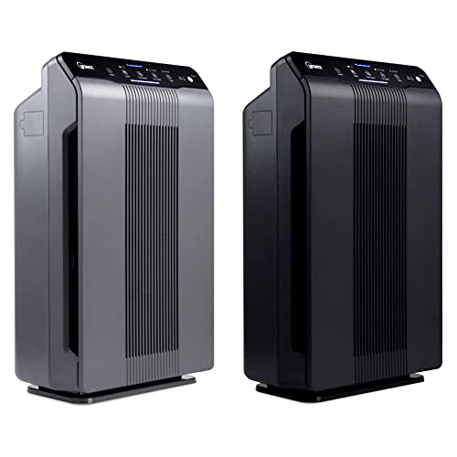 Winix Air Purifiers with True HEPA Filters