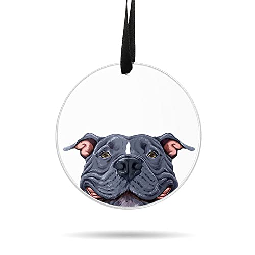 WIRESTER Hanging Ornaments - Smiling Blue Pit Bull Dog