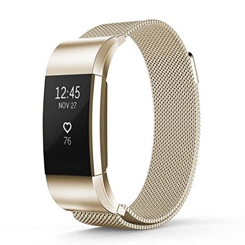 Wongeto Metal Band for Fitbit Charge 2