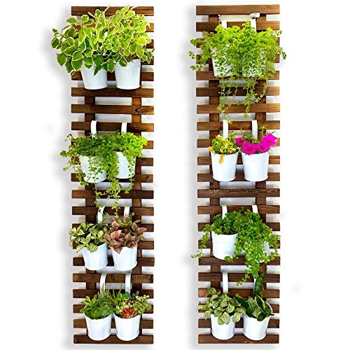 Wooden Hanging Planters for Indoor Outdoor Plants