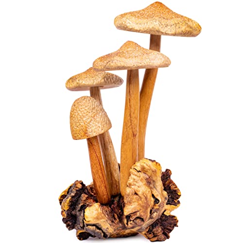 Wooden Mushroom Sculpture for Natural Decor
