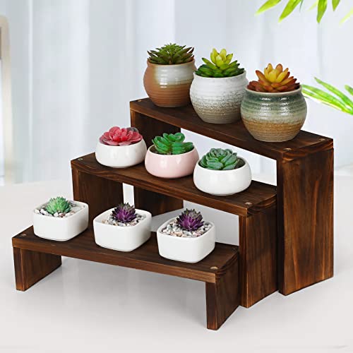 Wooden Tabletop Plant Shelves Small Countertop Desktop Shelf