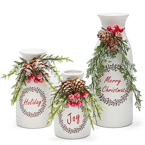 Wortour Christmas Vase 3-Piece Set