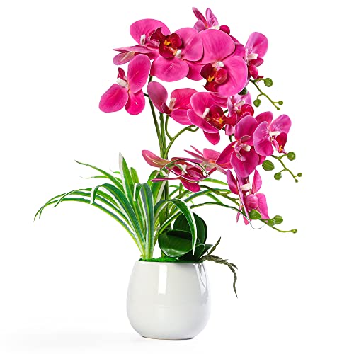 W&W Artificial Orchid Plants with Vase