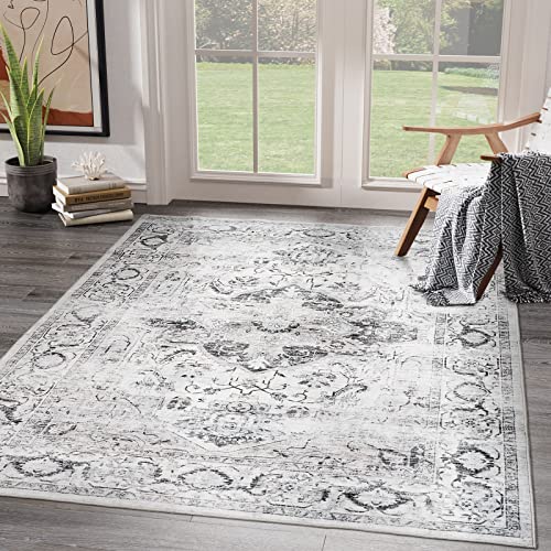 xilixili 8x10 Area Rugs - Stain Resistant Washable Rug