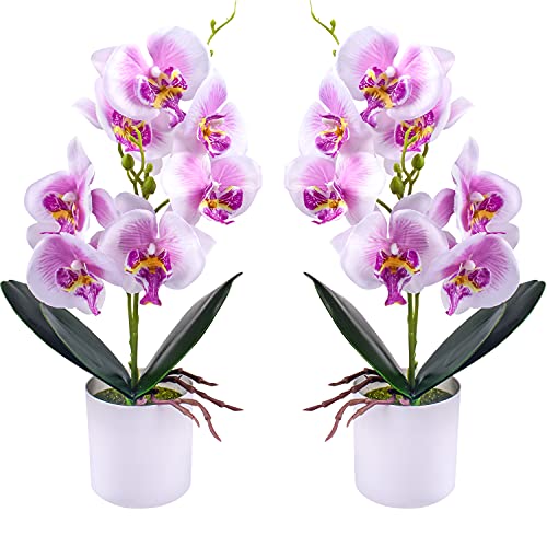 XONOR Artificial Orchid Flowers