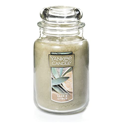 Yankee Candle Sage & Citrus Scented Jar Candle (22oz) - Natural Harmony and Long-Lasting Burn