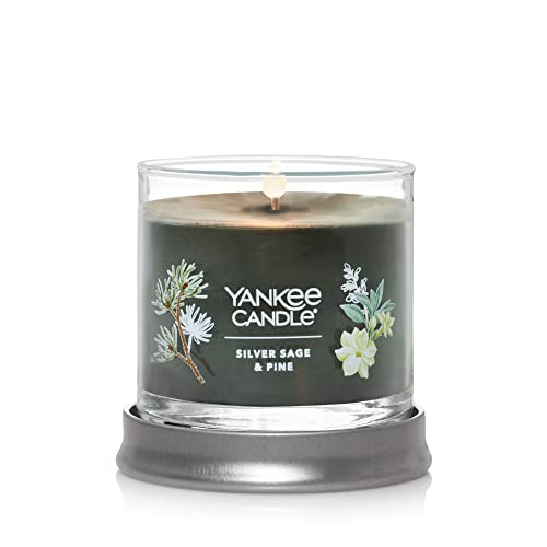 Yankee Candle Silver Sage & Pine Scented