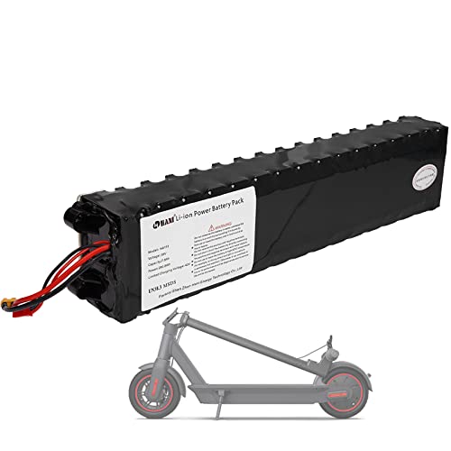 YLuBik Electric Scooter Battery