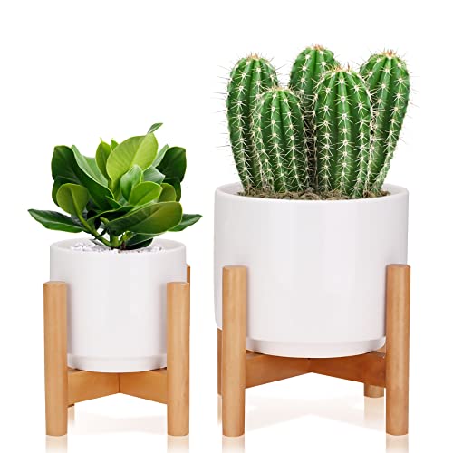 Y&M Mid Century Plant Stands with Ceramic Planter