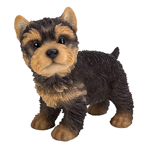 Yorkshire Terrier Pup Standing Figurine Dog Puppy