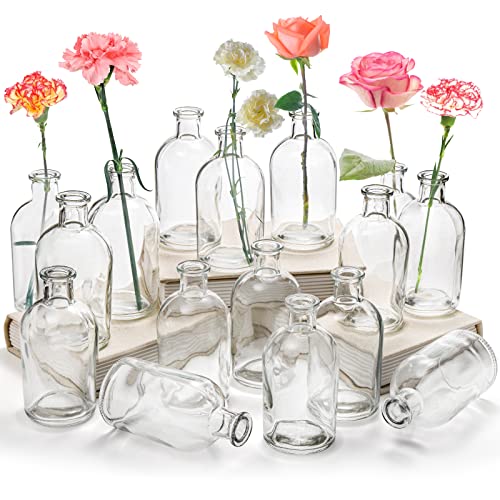 YOUEON 16 Pack Glass Flower Vases
