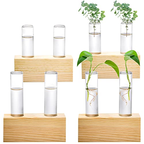 YOUEON Glass Terrarium with Wooden Stand