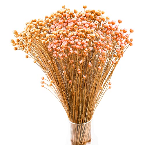 ZEAYEA 300 Stems Natural Dry Flowers