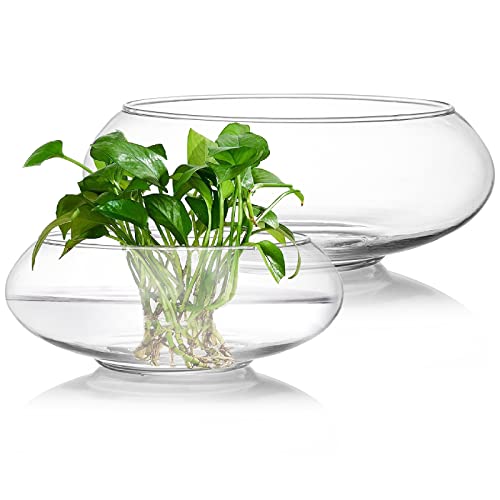 ZENFUN Glass Vase Bowl Set - Stylish and Versatile Home Decoration