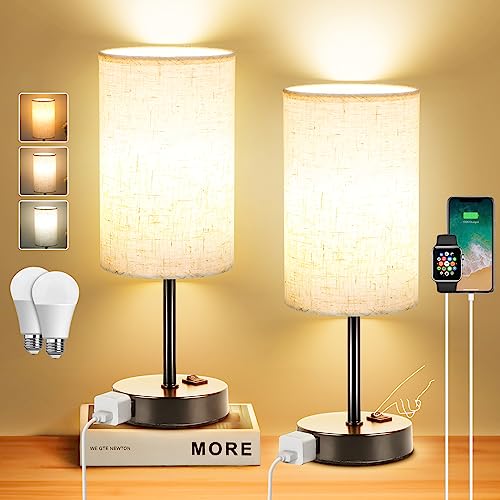 ZJOJO Bedside Nightstand Lamps Set of 2