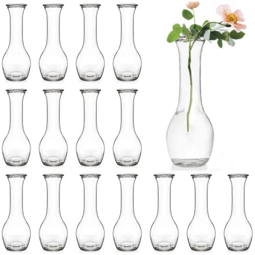 ZOOFOX Set of 16 Glass Bud Vase